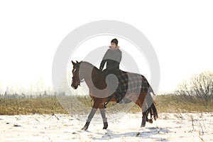 Teenager girl riding bay horse in winter