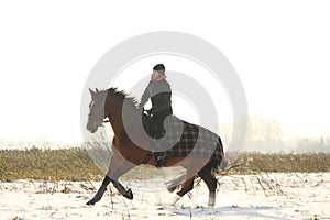 Teenager girl riding bay horse in winter