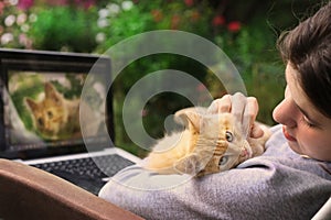 Teenager girl working on retouch photo on laptop with red kitten