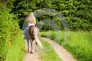 Teenager with haflinger horse
