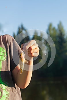 A teenager holds a small fish on a hook on a fishing line in the summer by the river.