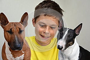 Teenager and  two  young  bull terriers