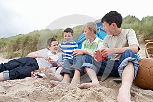 Teenagers having picnic