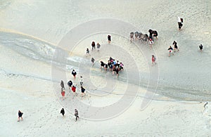 Teenagers with rucksacks go on beach