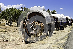 Teenagers traveling on covered wagons