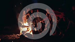 Teens roasting marshmallows on campfire.