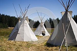 Teepee Camp In Meadow