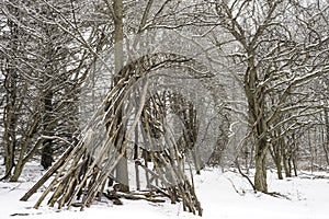 Teepee contructed out of logs and branches in a winter landscape