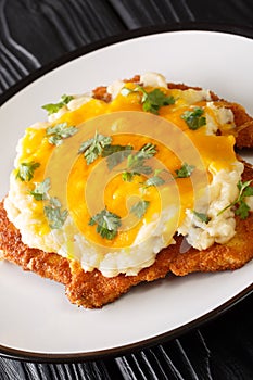 Teesside Chicken Parmo made from breaded chicken fillet topped with a white bechamel sauce and cheddar cheese close-up in a plate photo