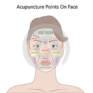 Active acupuncture points on the face, Vector Illustration photo