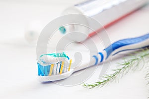 Teeth brush and paste dental hygiene