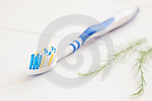 Teeth brush and paste dental hygiene equipment