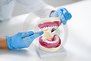 Teeth Care And Dentistry Model