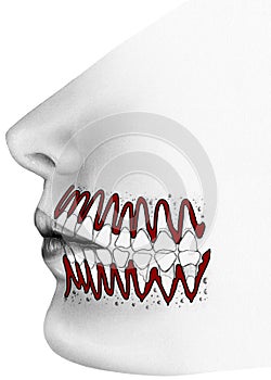 Teeth - Cutaway View of Teeth and Surrounding Gums