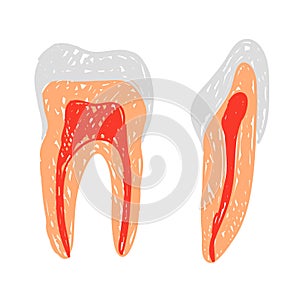 Teeth doodle