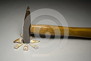 Teeth and hammer