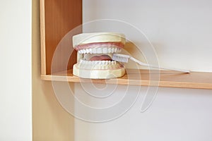 Teeth layout for the dentist with a toothbrush. still life on the subject of dentistry and stomatology, odontology, medicine