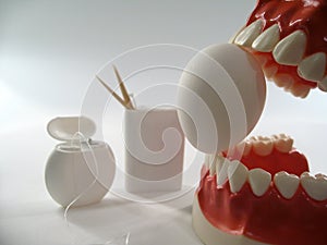 Teeth model