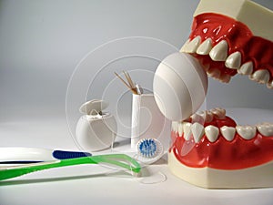 Teeth model