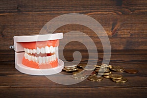 Teeth model and money on a wood texture background. Health and wellness