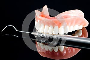 Teeth model showing an implant crown bridge model.