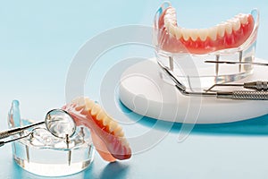 Teeth model showing an implant crown bridge model.