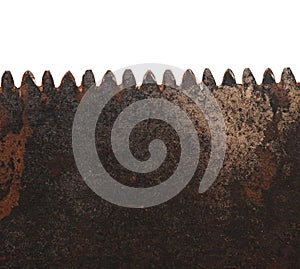 Teeth of old saw