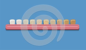 Teeth whitening shade guide, dental colour chart. cartoon flat illustration vector isolated in blue background