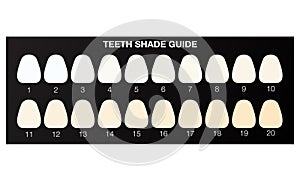 Teeth whitening shade guide, dental colour chart. flat illustration vector