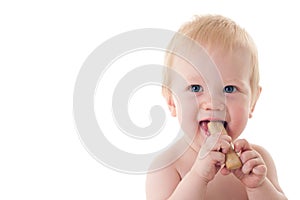 Teething baby chewing on rusk