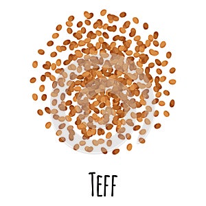Teff for template farmer market design, label and packing. Natural energy protein organic super food