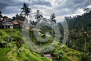 Tegallalang rice terrace in Bali Indonesia