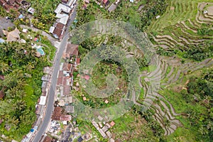 Tegallalang rice terrace in Ubud, Bali, Indonesia