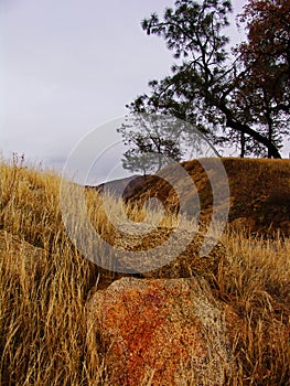 Tehachapi Pass Landscape Bakersfield California photo