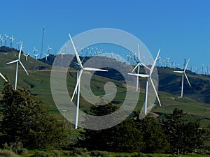 Tehachapi Pass Wind Farm photo