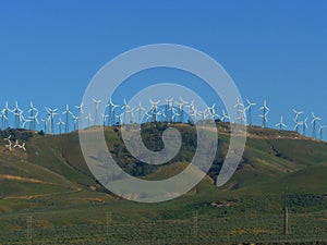 Tehachapi Wind Resource Area photo