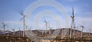 Tehachapi Wind Turbines photo