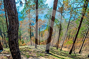 Tehri lake surrounded by mountains in Uttarakhand, india, Tehri Lake is an artificial dam reservoir. Tehri Dam, the tallest dam in