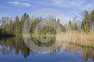 Teich bei Moosham in Oberbayern