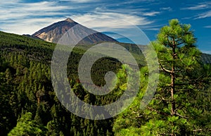 Teide photo