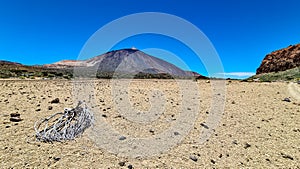 Teide - Dried tree brach on desert plain La Canada de los Guancheros with scenic view on volcano Pico del Teide photo