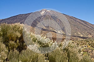 Teide