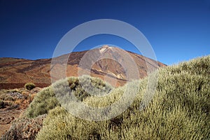 Teide Mountain and rock formation. Tenerife. Volcano.