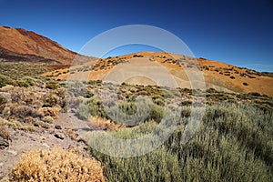 Teide Mountain and rock formation. Tenerife. Volcano.