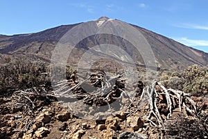 Teide mountain, Tenerife