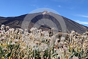 Teide mountain, Tenerife