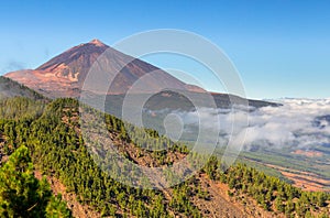 Teide in Orotava Valley photo