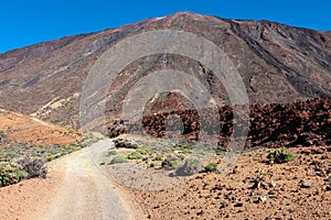 Teide - Panoramic hiking trail leading to Pico del Teide in volcano Mount Teide National Park, Tenerife, Spain photo