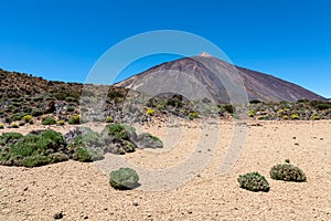 Teide - Panoramic view on volcano Pico del Teide and Montana Blanca, Mount El Teide National Park, Tenerife, Canary Islands, photo