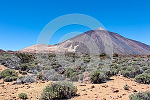 Teide - Panoramic view on volcano Pico del Teide and Montana Blanca, Mount El Teide National Park, Tenerife, Canary Islands, photo